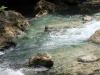 kawasan falls Cebu Philippines -0046