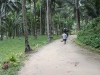 kawasan falls Cebu Philippines -0051