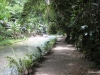 kawasan falls Cebu Philippines -0088