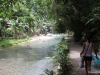kawasan falls Cebu Philippines -0089