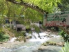 kawasan falls Cebu Philippines -0092