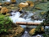 kawasan-falls-cebu-april-2-2010-463
