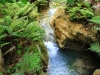 kawasan-falls-cebu-april-2-2010-494