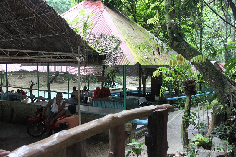 kawasan falls Cebu Philippines -0748