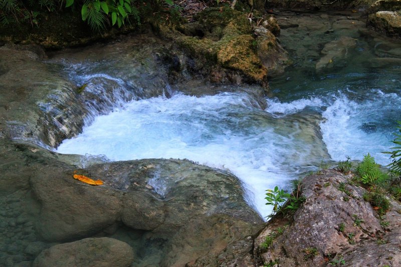 kawasan-falls-cebu-april-2-2010-910