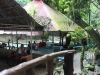 kawasan falls Cebu Philippines -0748