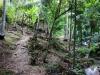 kawasan-falls-cebu-april-2-2010-816