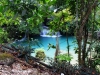 kawasan-falls-cebu-april-2-2010-818