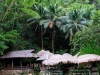 kawasan-falls-cebu-april-2-2010-851